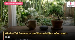 หนึ่งบ้านไม้กับใจสองดวง เผยวิธีครองรักให้หวานชื่นนานกว่า 20 ปี