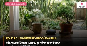 สุดน่ารัก เซอร์ไพรส์วันเกิดน้องแมว แต่ดูคนเซอร์ไพรส์จะมีความสุขกว่าเจ้าของวันเกิด