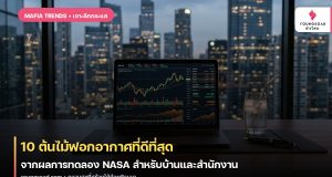 10 ต้นไม้ฟอกอากาศที่ดีที่สุด จากผลการทดลอง NASA สำหรับบ้านและสำนักงาน