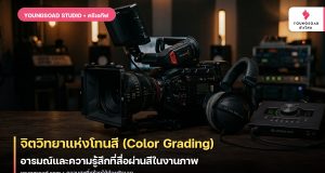 จิตวิทยาแห่งโทนสี (Color Grading): อารมณ์และความรู้สึกที่สื่อผ่านสีในงานภาพ