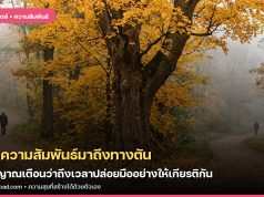 เมื่อความสัมพันธ์มาถึงทางตัน: สัญญาณเตือนว่าถึงเวลาปล่อยมืออย่างให้เกียรติกัน