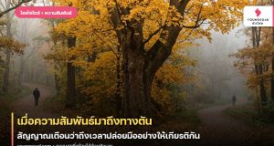 เมื่อความสัมพันธ์มาถึงทางตัน: สัญญาณเตือนว่าถึงเวลาปล่อยมืออย่างให้เกียรติกัน